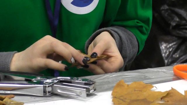 Финал  Чемпионата   WorldsSkills Russia Северо-Западного федерального округа