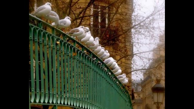 Париж - город Любви! автор Нина Коваленко. смотреть онлайн