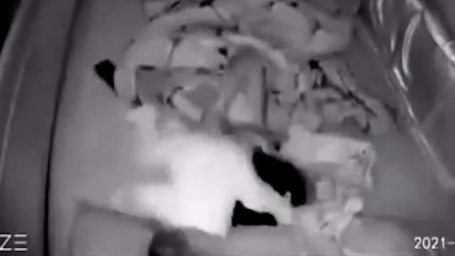 Амогус 10 часов | Amogus 10 Hours