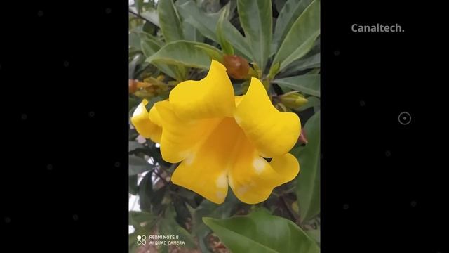 REDMI NOTE 8: ¿El MEJOR GAMA MEDIA De 2019? [Análisis]