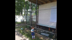 Курятник своими руками. 1часть. Маленький и удобный домик для кур несушек и бройлеров