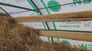 Обустройство теплицы под курятник завершено