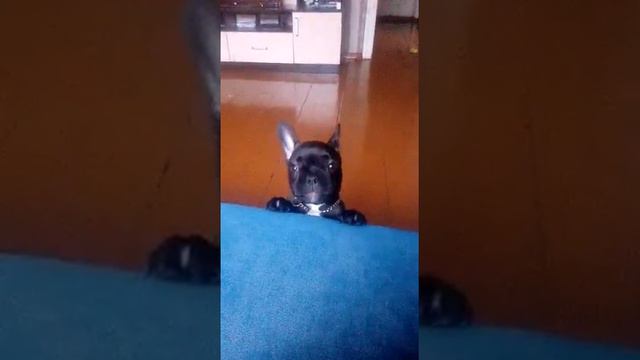Хочу на диван. смотреть онлайн