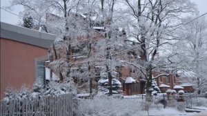 Зима январь 2016 в Питере