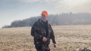 Охота на медведя. Охота на медведя с лайками. @Координаты Айтор.