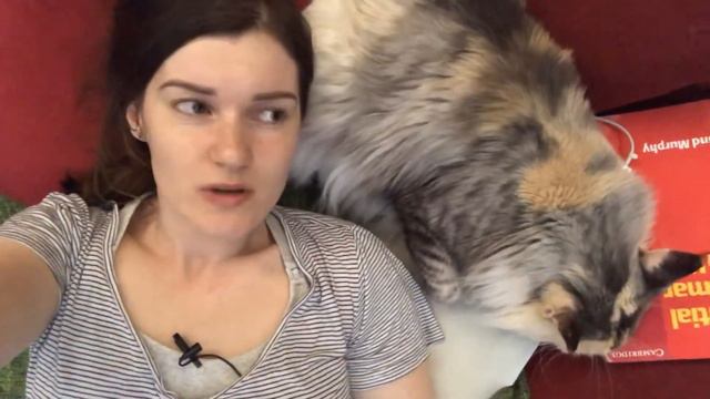 Про детей в общественных местах