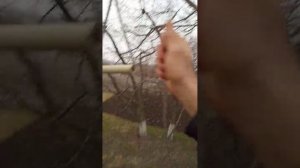 Простое устройство поднятия воды из колодца