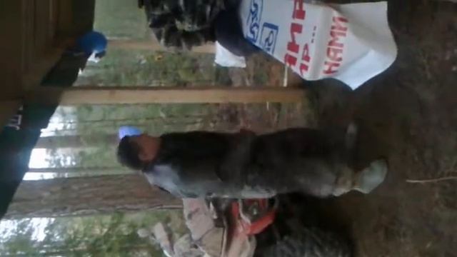 SERG жжет... смотреть онлайн