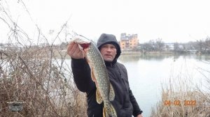 Щука в феврале на живца.Пруд.2022.