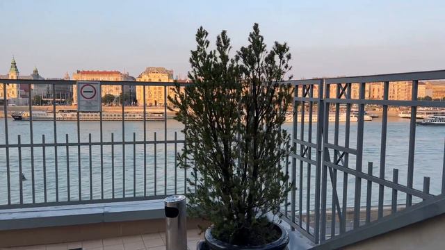 VLOG| Купальни Будапешта | Спасение больного | Паста из Италии смотреть онлайн