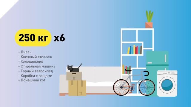 СПБ. Перевезти бурого медведя смотреть онлайн