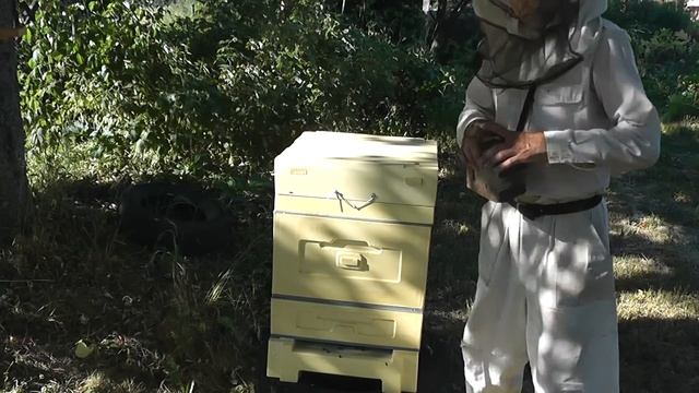 начал тестировать ульи  Bienenhaus.