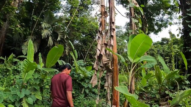 Hunting For The Lost City Of Nicaragua With The Rama Indians S6-E46