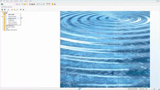 SAP User Basics: How to Save Favorite Transactions - Video 8 смотреть онлайн