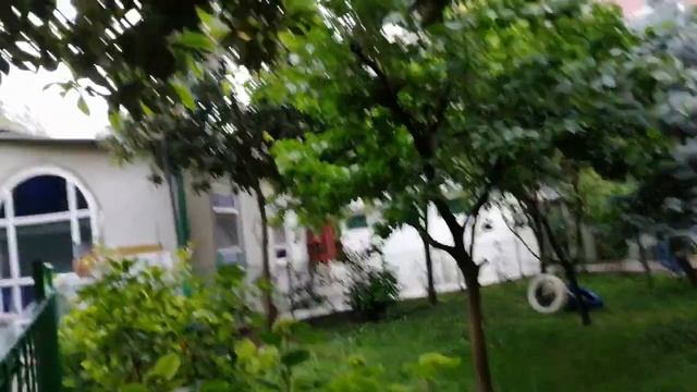 ФРУКТОВЫЕ САДЫ В ЦЕНРЕ МЕГАПОЛИСА! ??? смотреть онлайн