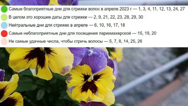 Лунный календарь стрижек на апрель 2023. Благоприятные дни для стрижки волос в апреле 2023 смотреть онлайн