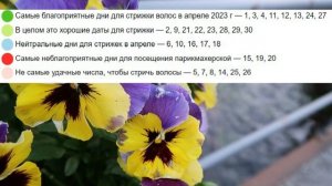 Лунный календарь стрижек на апрель 2023. Благоприятные дни для стрижки волос в апреле 2023