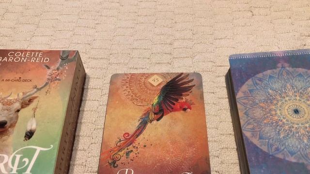 The Spirit Animal Oracle 45/68 Parrot Spirit guide book audio description смотреть онлайн
