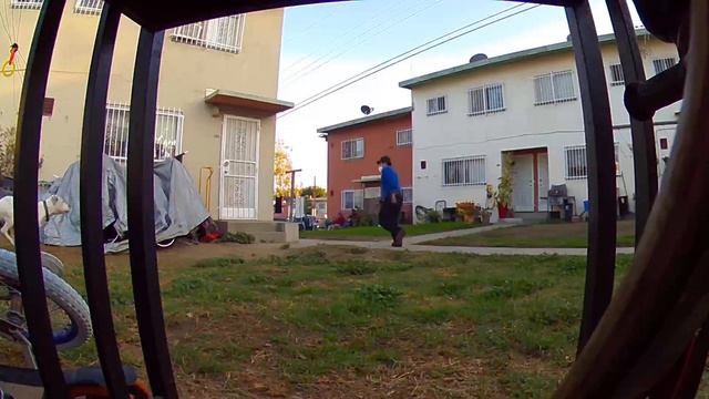 Pitbull chases off cable guy смотреть онлайн