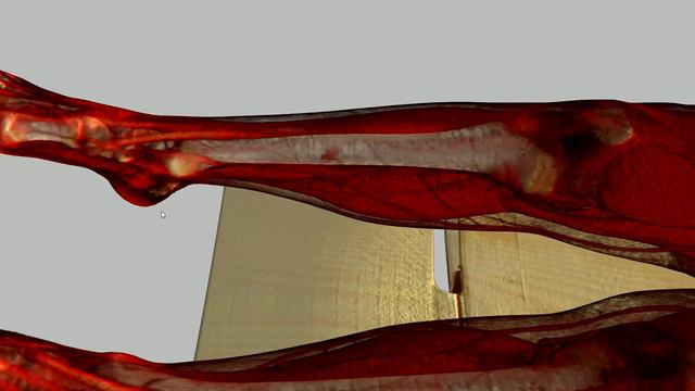 GPU RayCasting for a huge dataset смотреть онлайн