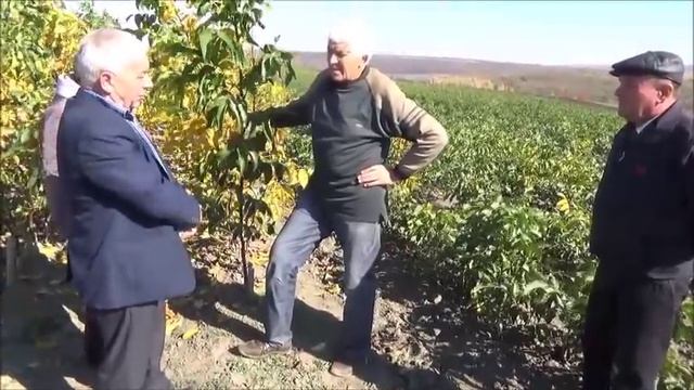 Обмен опытом с ООО 