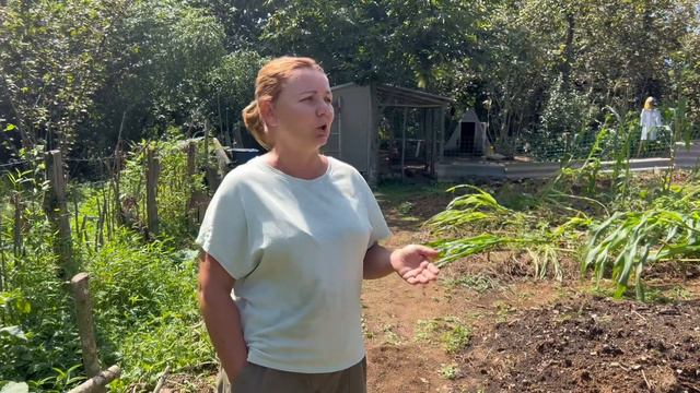 Как важно выбрать землю в Сакартвело в безопасном месте. смотреть онлайн