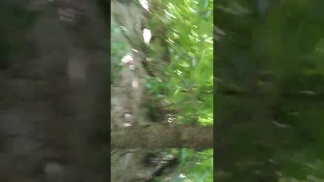 Каяк Женька Супер смотреть онлайн