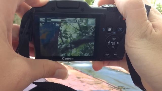 Canon Powershot SX510 HS Review, 12MP, 30X Optical Zoom! смотреть онлайн