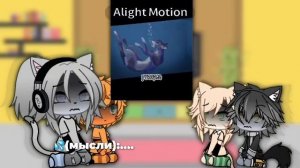 -Реакция Котов Воителей~