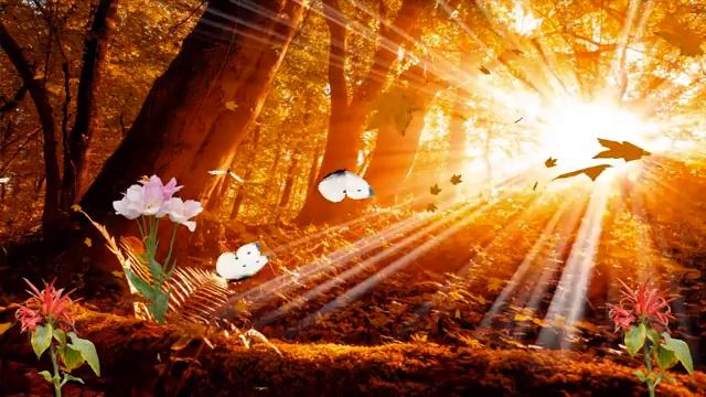 Relax video for relaxation of the mind, pleasant sleep, meditation, immersion in the world of sound смотреть онлайн