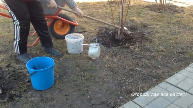 293.Важная обрезка малины весной смотреть онлайн