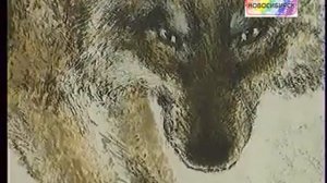 Биография Евгения Чарушина. Рассказывает Алиса Ридель.