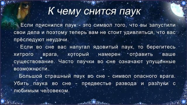 К чему снится Паук (Сонник) смотреть онлайн