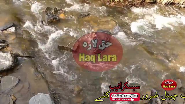 Hazrat Umer ra ghairat Pashto bayan by shaikh abdul hamid Haq Lara смотреть онлайн