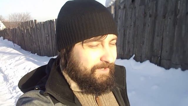 Каков штраф за срубленное дерево? Закон РФ. смотреть онлайн