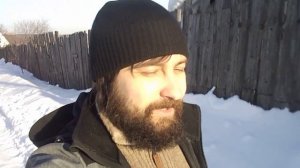 Каков штраф за срубленное дерево? Закон РФ.