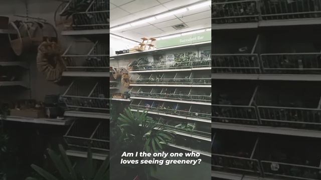 I love seeing greenery at the crafts store🌿💚 смотреть онлайн