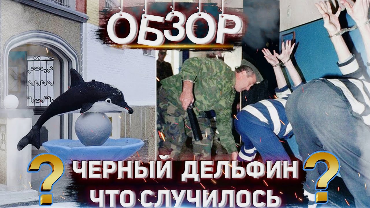 ЧЕРНЫЙ ДЕЛЬФИН ▫️ Жалобы на пытки ▫️ Обзор от Прапора смотреть онлайн