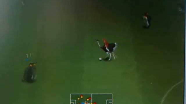 Пингвины Vs Страусы (PES 6)