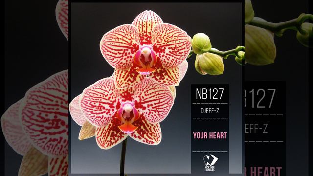 Your Heart (Original Mix) смотреть онлайн