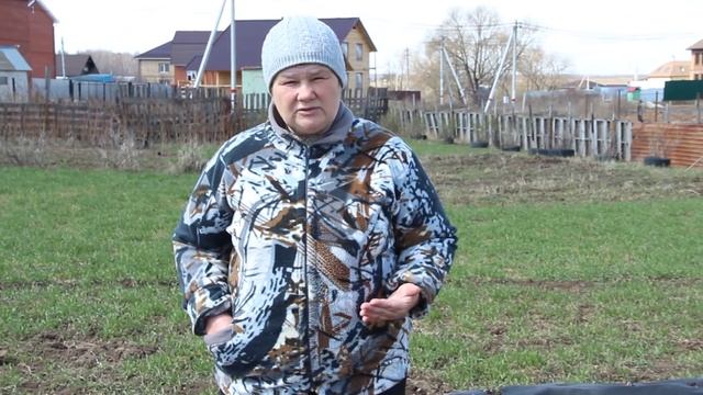 Советы по выращиванию лука-батуна и чеснока. смотреть онлайн