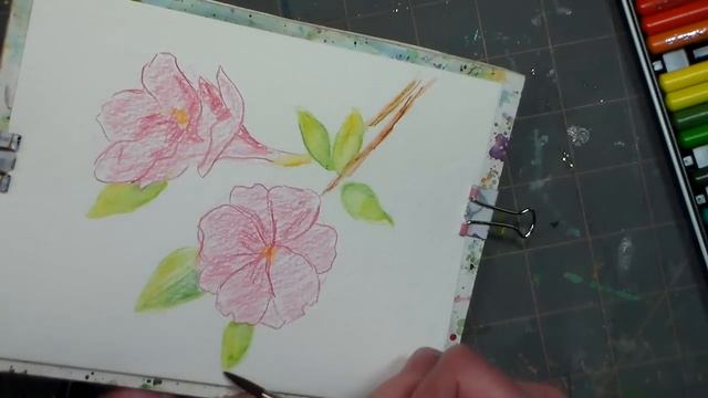 Azalia Painting Tutorial and Fantasia Watercolor Pencil Review & Demo смотреть онлайн