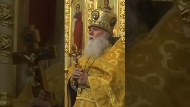 25 октября 2019 г. смотреть онлайн