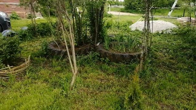 женщина одна скосила огород смотреть онлайн