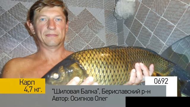 Фотоальбом - Рыбалка №138 смотреть онлайн