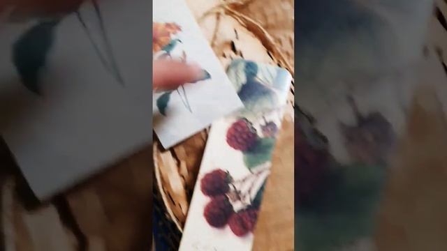The Herbal Astrology Oracle ?? смотреть онлайн