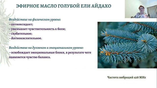 12 самых необходимых эфирных масел Сила иммунитета смотреть онлайн