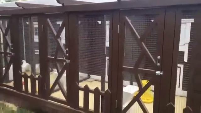 курятника на 40 кур Китеж 7 2,5 с выгулом 6 2 смотреть онлайн