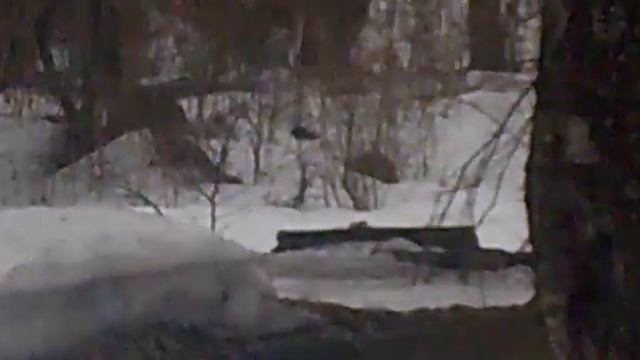 Таксикоман