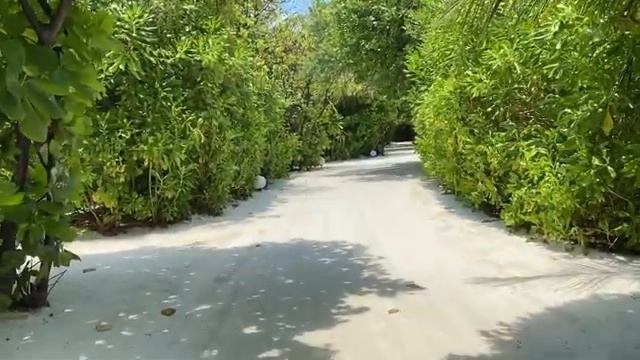 Отдых на мальдивах от Вилави. Путешествия от Vilavi. Влог сетевика. На Мальдивы бесплатно. смотреть онлайн